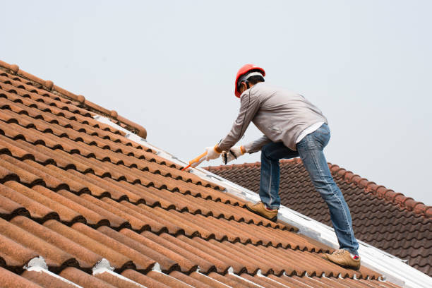 Trusted Holloman Af, NM  Roofing repair and installation Experts