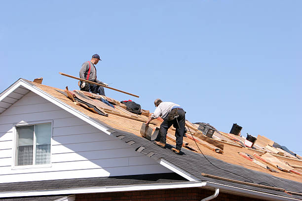 Best Slate Roofing  in Holloman Af, NM
